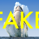 Image: Shutterstock